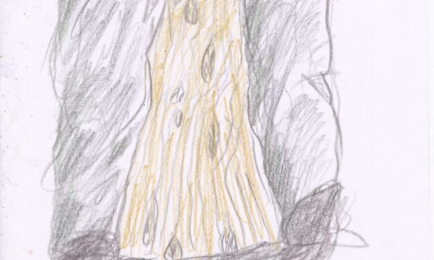 Torsos in Tigris  DB 138 2014