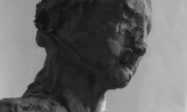 Hoved / Head