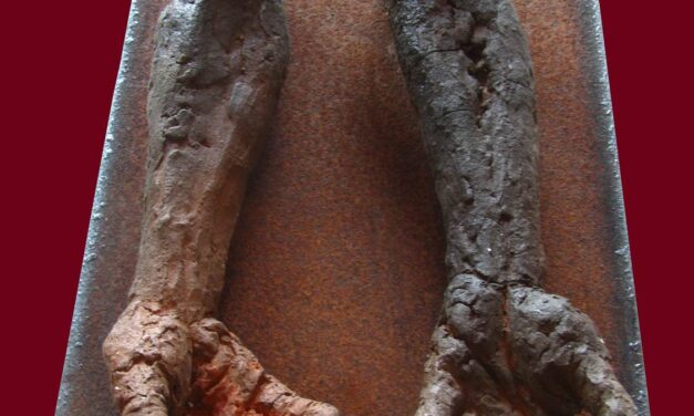 To arme  /  Two Arms